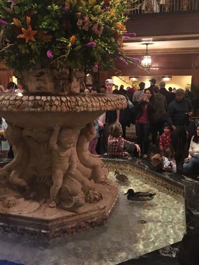Peabody Hotel Ducks