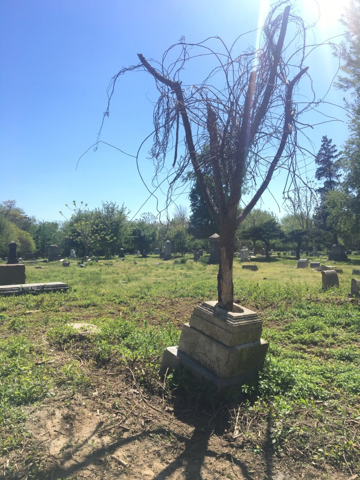 Mount Moriah Tree Grave